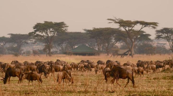 The Anasa Safari Collection - Kampi Kampi