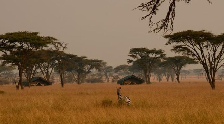 The Anasa Safari Collection - Kampi Kampi