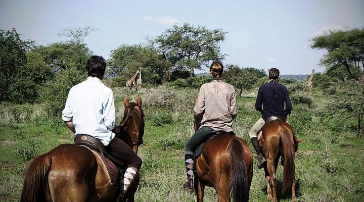 The Anasa Safari Collection - Kaskazi Horse Safaris