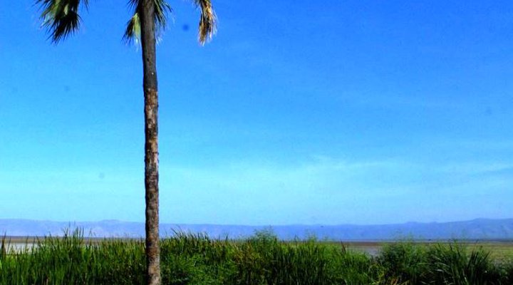 The Anasa Safari Collection - Kisima Ngeda Tented Camp