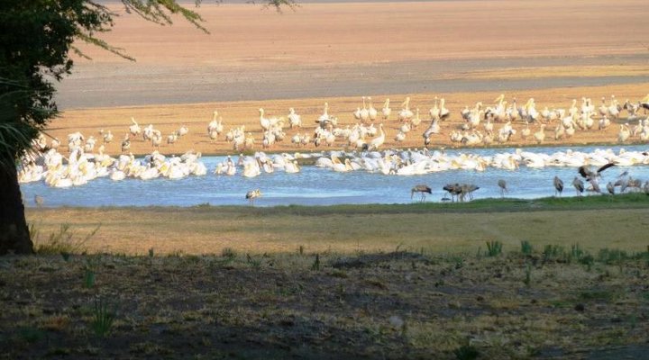 The Anasa Safari Collection - Kisima Ngeda Tented Camp