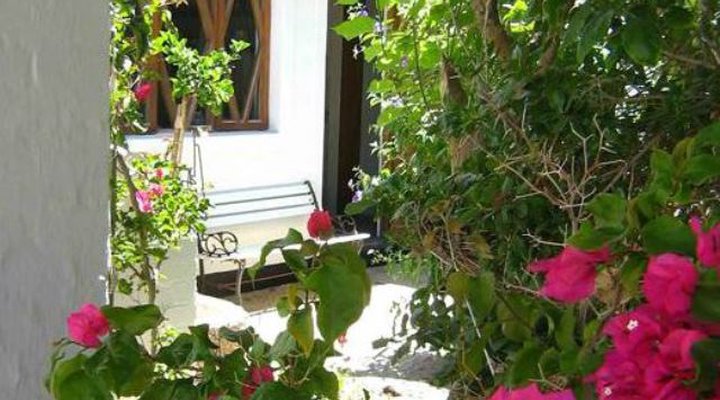 The Alternative Space