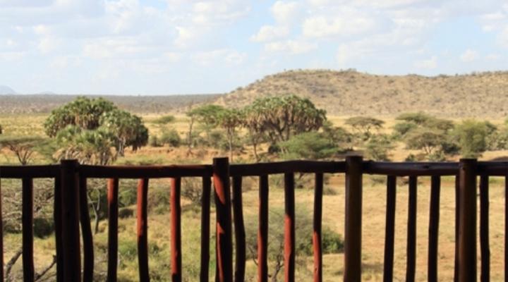 Samburu Simba Lodge