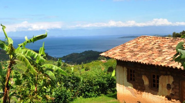 Cormoran Lodge