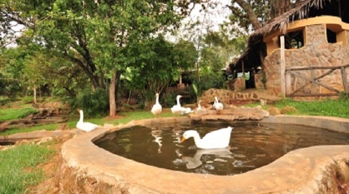 Naiberi River Campsite and Resort