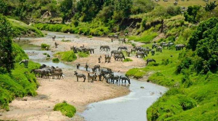 Nalepo Mara Camp