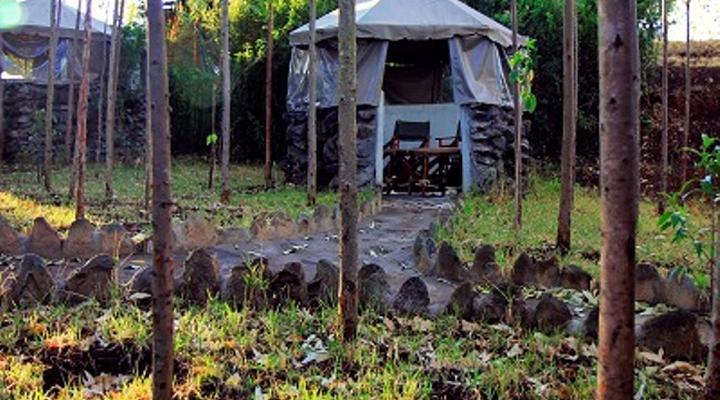 Naivasha Peppercorn Holiday Resort