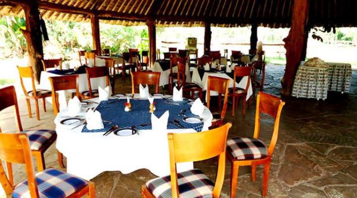 Maasai Ostrich Resort