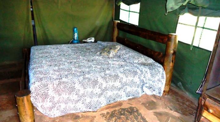 Maasai Ostrich Resort