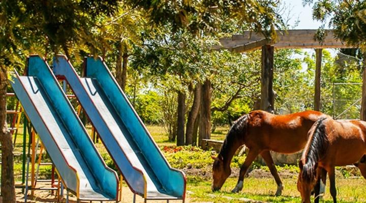 Maasai Ostrich Resort