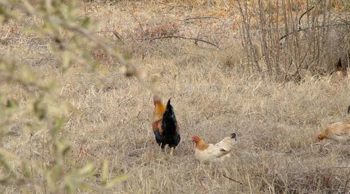 The Farm House Hartebeestfontein 