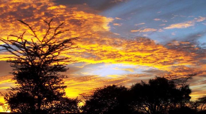 Swara Plains Acacia Camp