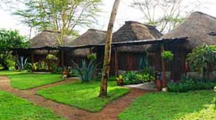 Swara Plains Acacia Camp