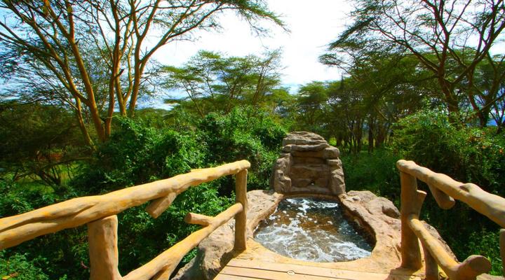 Wileli House Wildlife Sanctuary