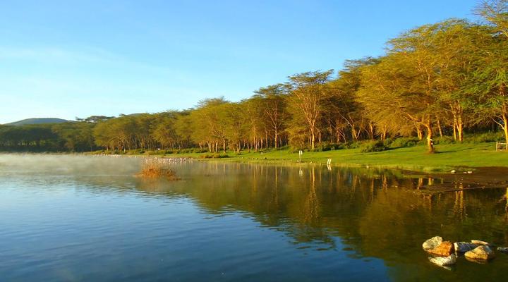 Wileli House Wildlife Sanctuary