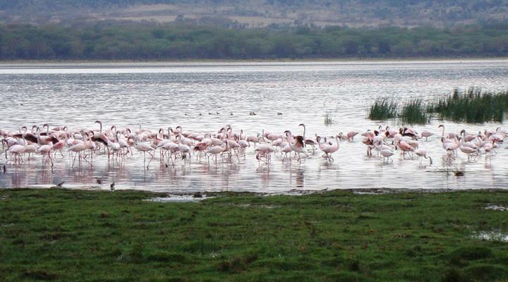 Ol-Joto/Ole Itiko Cottages