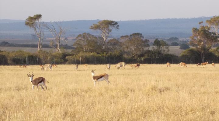 Kholokoe Private Lodge