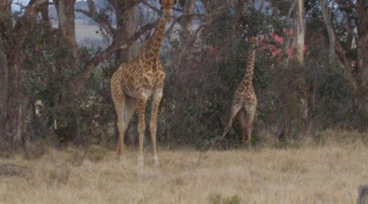 Kholokoe Private Lodge