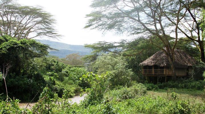 Kigio Wildlife Camp