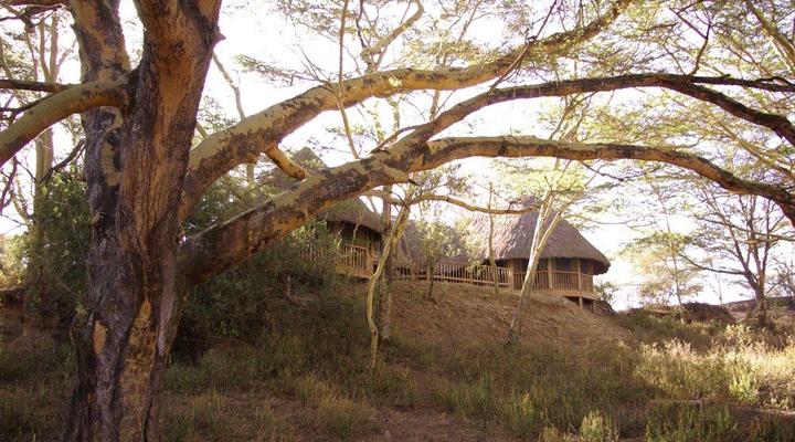 Kigio Wildlife Camp
