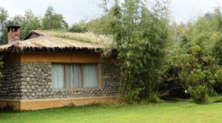 Mountain Gorilla View Lodge