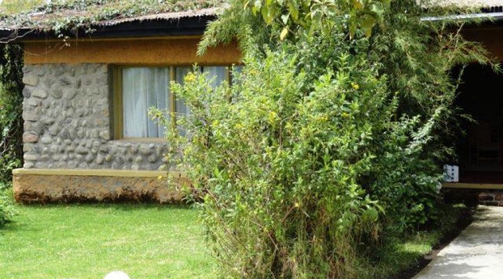 Mountain Gorilla View Lodge