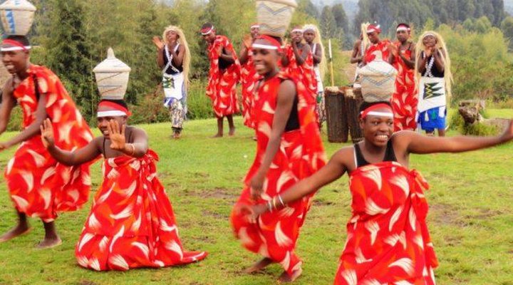 Mountain Gorilla View Lodge