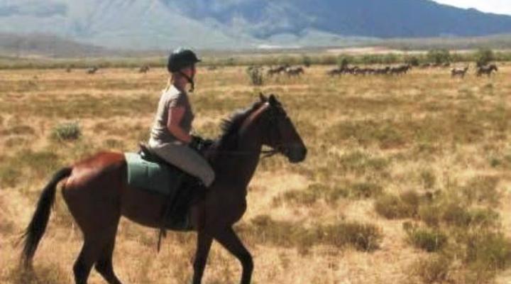 Mount Longonot Lodge