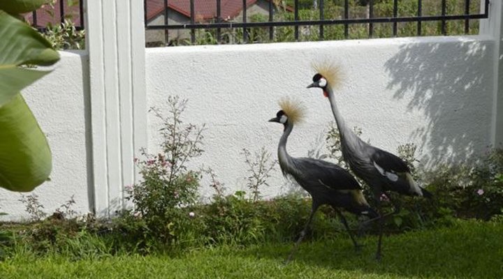 Golf Hills Residence