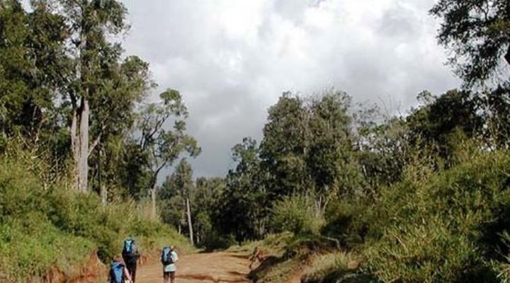 Oldmoses Camp Mountain Hut