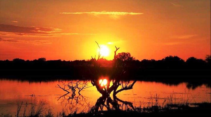 Hayward's Game Lodge