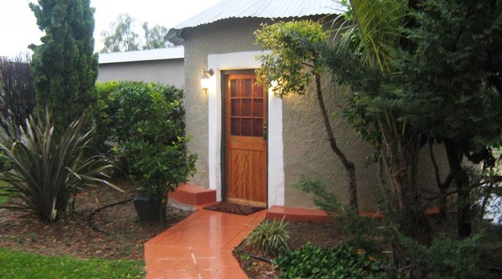 Ostrich Divaz Calitzdorp