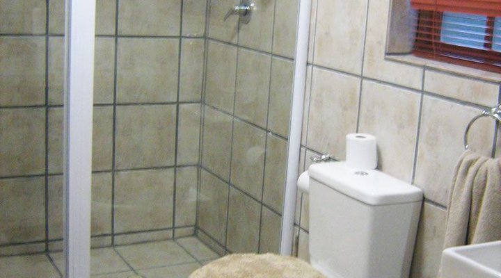 Ostrich Divaz Calitzdorp