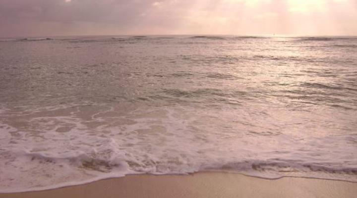 SheShe Baharini Beach Hotel