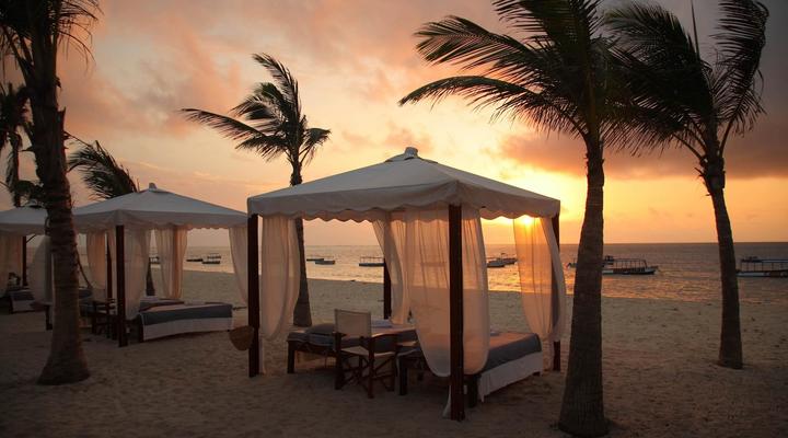 Lion in the Sun Retreat