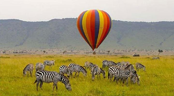 Impala Wildlife Lodge