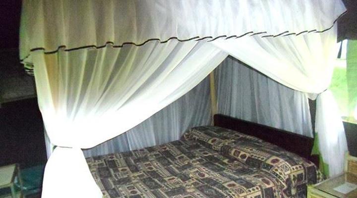 Impala Wildlife Lodge