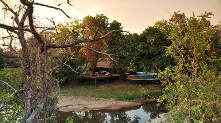 Selous Serena Camp