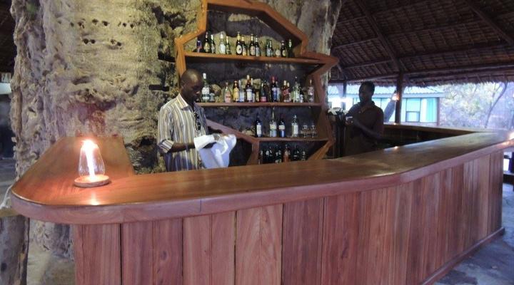 Selous Mbuyu Safari Camp