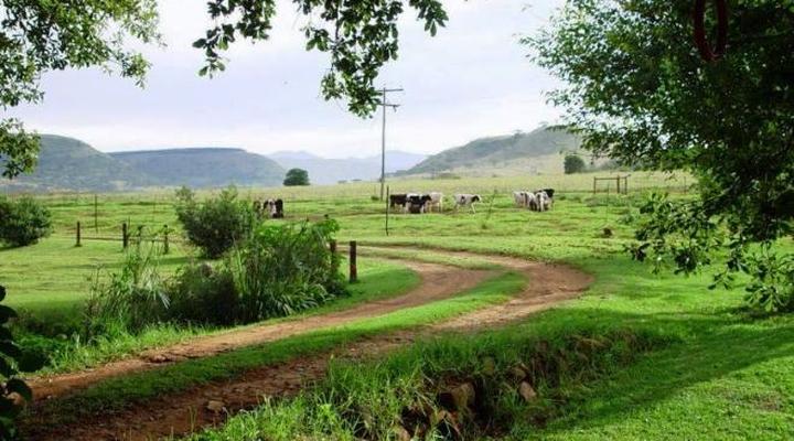 Brandkraal Bed and Breakfast