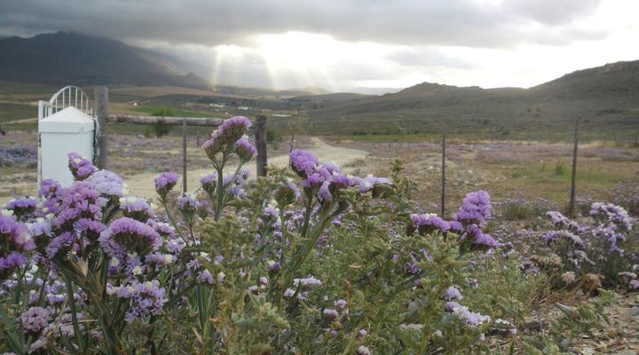 Wurth-It Artists' Home