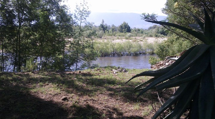 Deo Volente Guest Farm