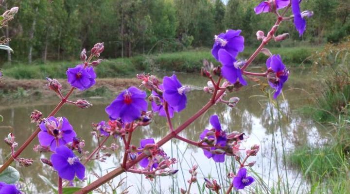 Fourteen Falls Lodge