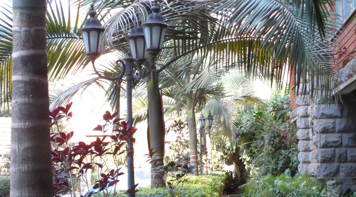 Tropical Towers Apartments