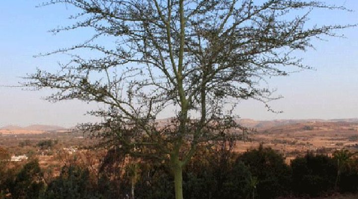 Sparrowhawk Lodge Hartbeespoort