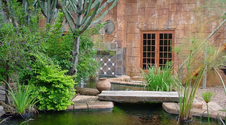 The Royal Gecko Bushveld Lodge