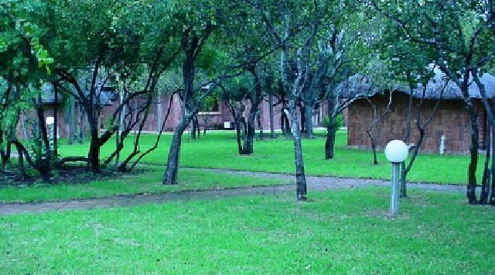 The Royal Gecko Bushveld Lodge
