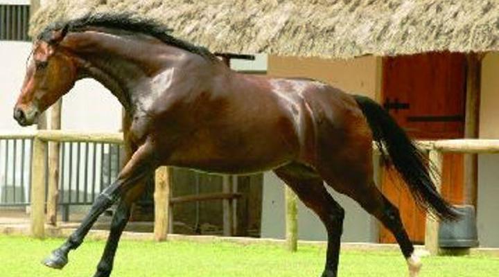 Speke Resort Munyonyo