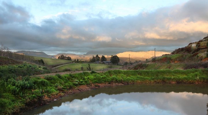 Tangleberry Cottage Self-catering