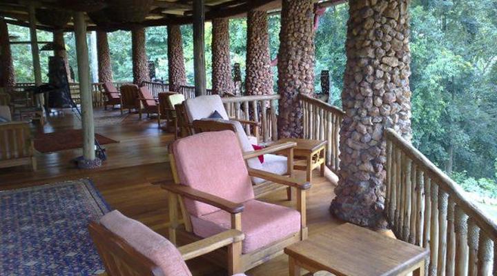 GeoLodge RainForest Lodge